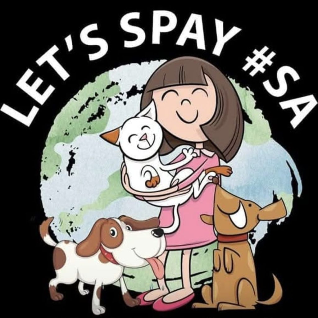 WhatsApp Image 2025-10-08 at 09.50.14